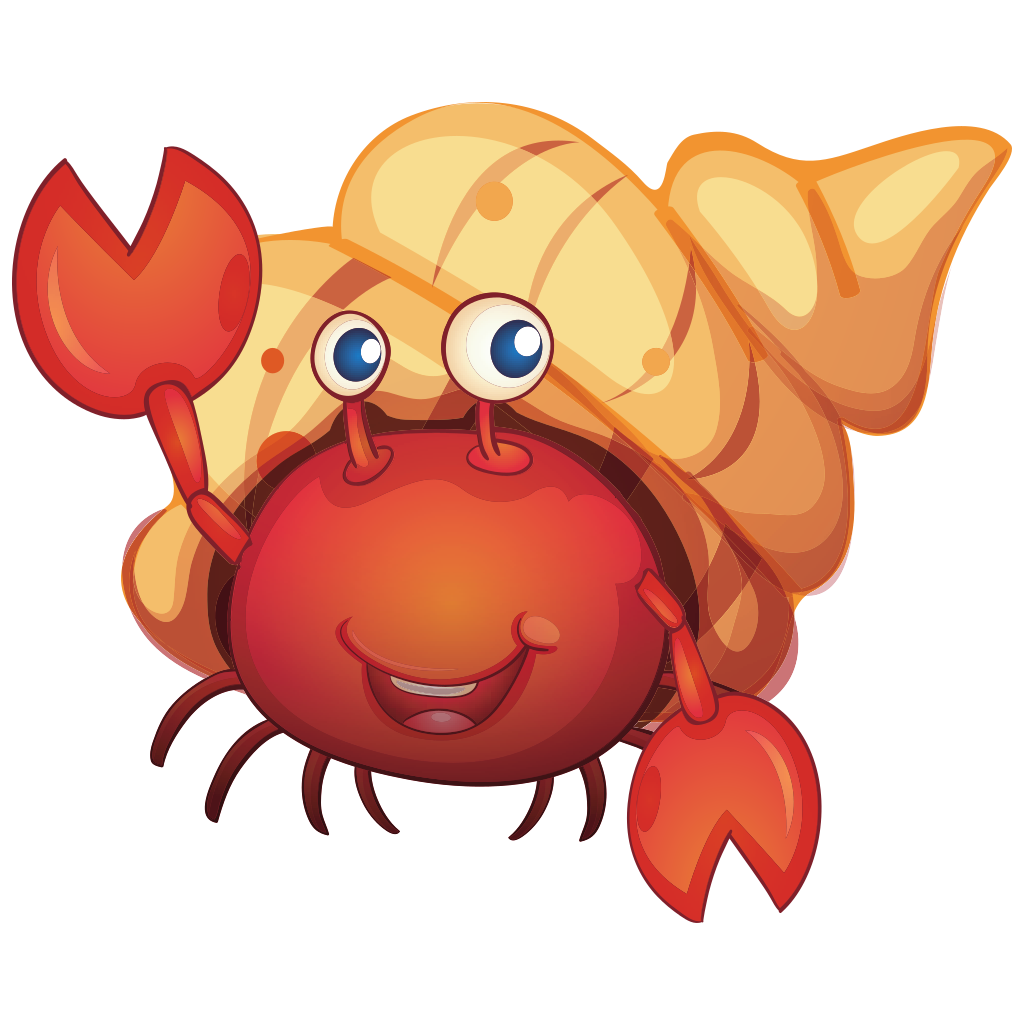 Hermit Crab